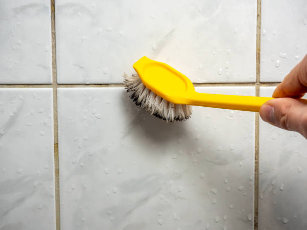 Best Emergency Mold Removal  in Union Hall, VA