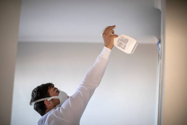 Trusted Union Hall, VA Mold Removal Experts