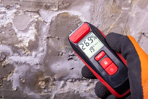 Mold Removal and Inspection in Union Hall, VA