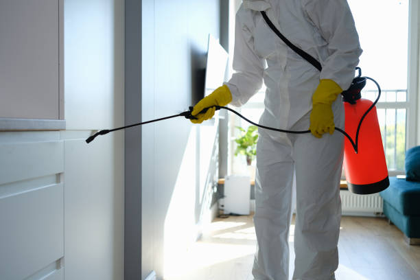 Best Certified Mold Removal  in Union Hall, VA