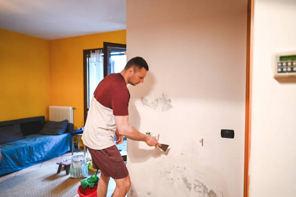 Best Fast Mold Removal  in Union Hall, VA